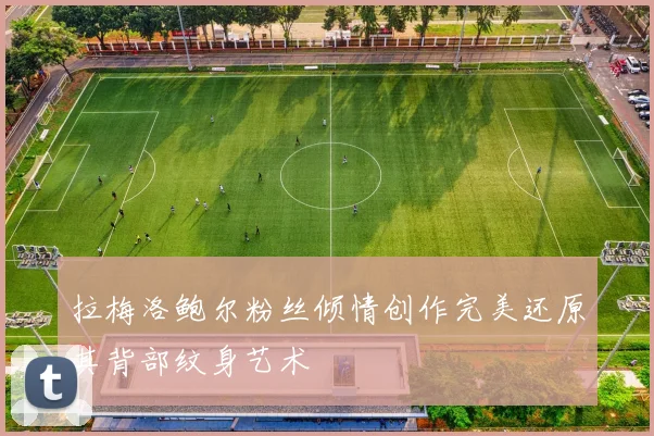 拉梅洛鲍尔粉丝倾情创作完美还原其背部纹身艺术