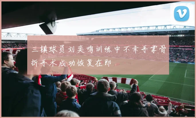 三镇球员刘奕鸣训练中不幸手掌骨折手术成功恢复在即
