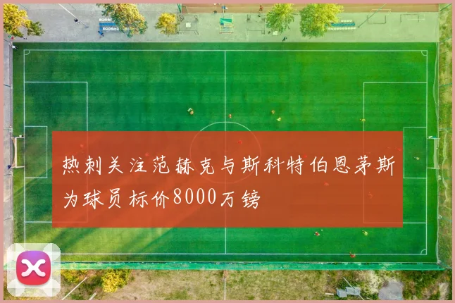 热刺关注范赫克与斯科特伯恩茅斯为球员标价8000万镑
